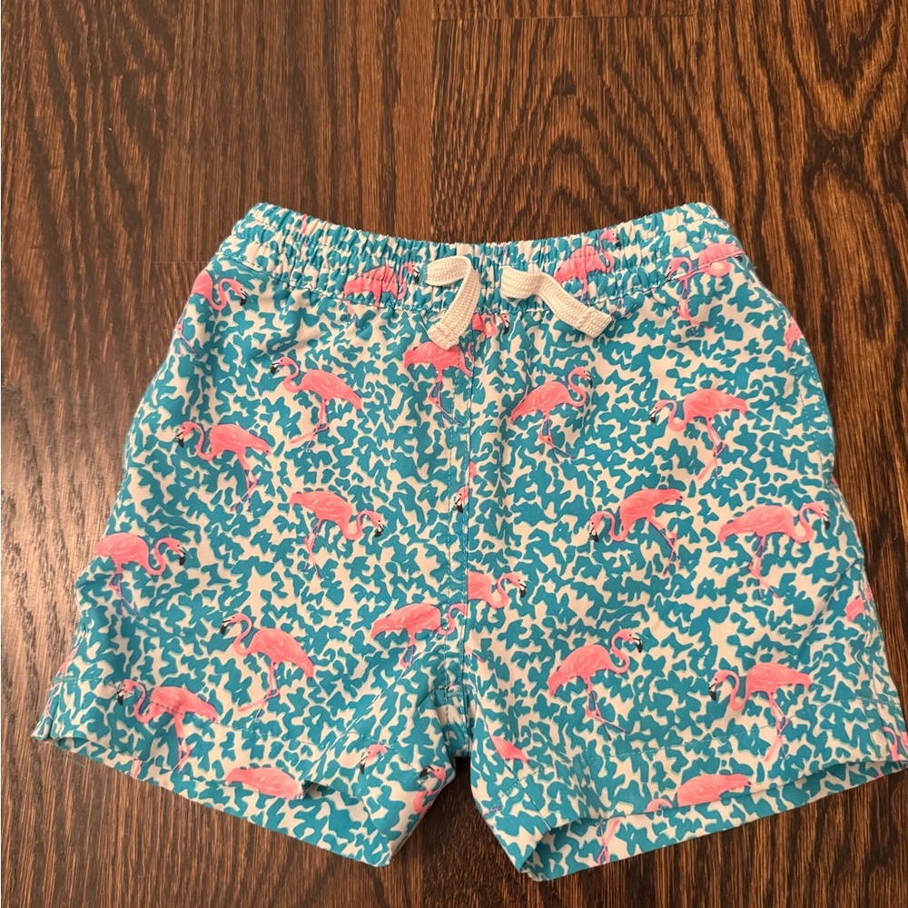 Toddler boys chubbies swim trunks, 3T